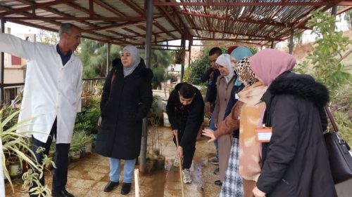 593759809 122261095712073927 1170811901281227265 n