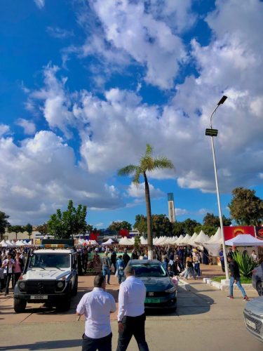 580402281 122257551674073927 3384166561428328273 n