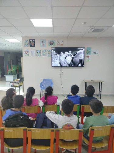 562374811 122253685112073927 1611119413708475010 n