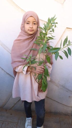 571089193 122255120096073927 3816522282498401966 n