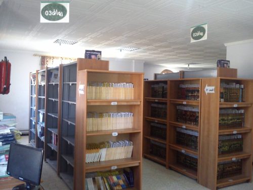 495997571 2799353170256297 6013496964805014336 n